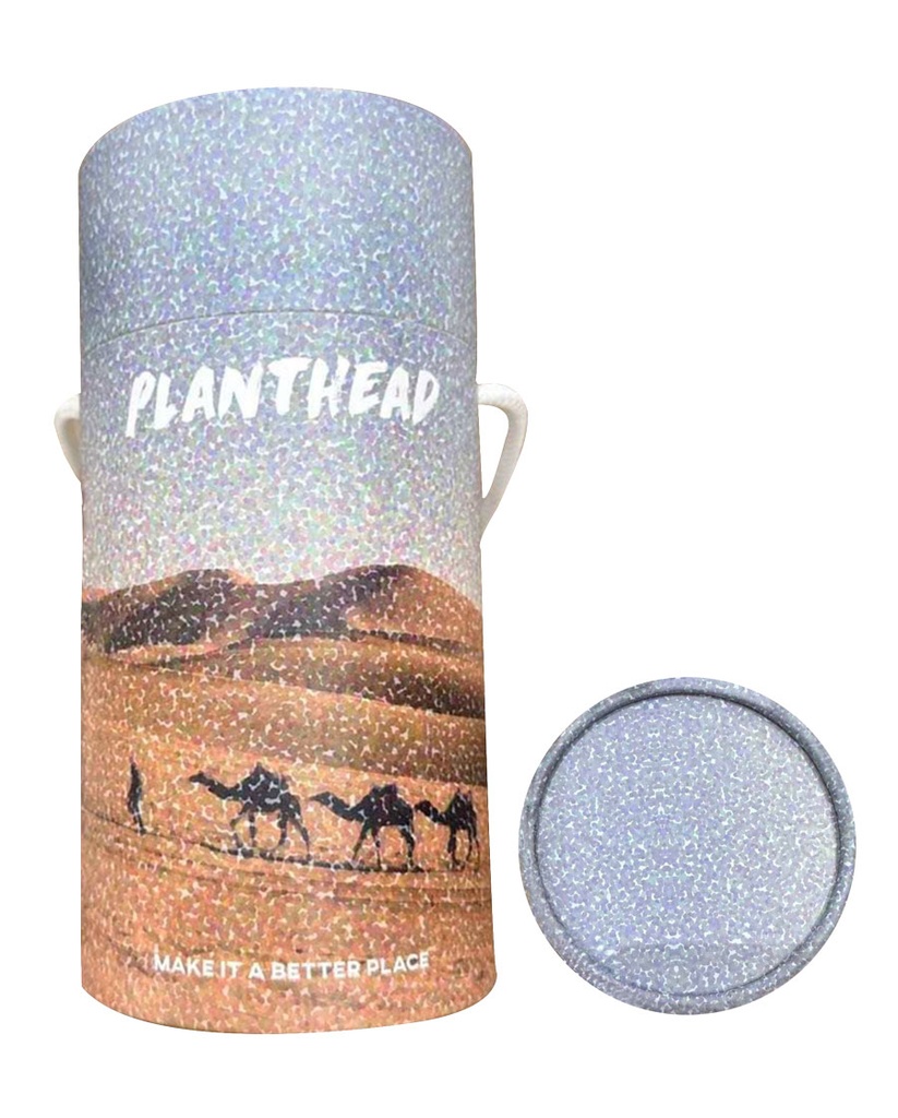 Planthead-Tshirt-box