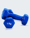 Iron Dumbbell Weights