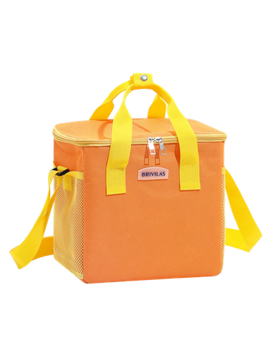 BRIVILAS Insulated Lunch Bag Box